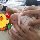 송파우리들의원 네이버블로그