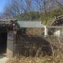 자양면-삼귀리-12