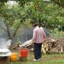 군위농장 이미지