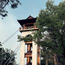 문경식농장 | [문경여행] 봉명산 출렁다리 &amp; 문경 오미자테마터널 문경여행지 솔직후기