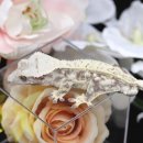 블랙엔화이트 이미지