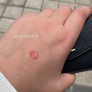 오정초교 | 0401-0430