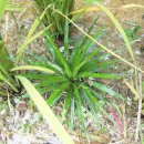 곡정초등학교 이미지