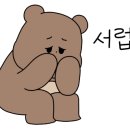 프레드피자개금 이미지