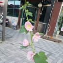 석사동 671 이미지