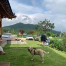 서가헌 한옥스테이 네이버블로그