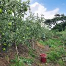 인우농장 이미지