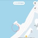 대가야반점 이미지