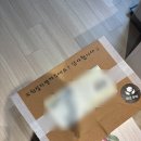 대만족 | W8. 라이프두들스 일러스트 청첩장 대만족 후기