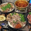 양이야기 이미지