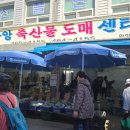 중앙 축산물 도매센타 이미지