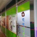 백세자연한의원 Daum카페