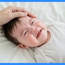 365온(ON)가정의원 이미지