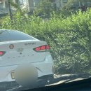 (유)영진택시 이미지