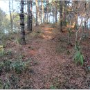 후미2리 이미지