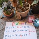 모스미마켓