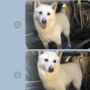 신남케어 이미지