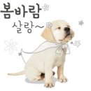정원동물병원 - 순천시 순천만정원로 78 | 정원동물병원
