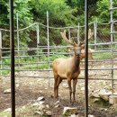 어답산농장 이미지