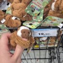 비취마트 | 키나발루 가야 스트리트 바타라스(BATARAS) 기념품 쇼핑 리스트 + 후기, 이마고몰 비교 | 2026 말레이시아