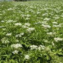 한재나드리 이미지