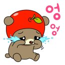 따담 이미지