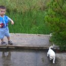 솔향기힐링펜션 이미지