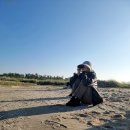 에코버드투어