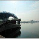 세종호수공원 산책로 이미지