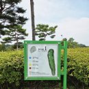 11590-가91-3 | 충주 중원CC 라운딩 후기｜신라·고구려 코스, 8월 컨디션과 91타 라운딩