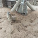 회산백련지 잔디광장 이미지