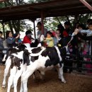 오감만족 이미지