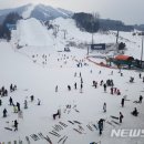 에덴밸리 티브이데일리