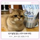 먼지 날림 없는 고양이 모래 추천 “키사 퓨어 샌드” 벤토나이트