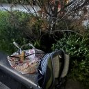 5월 산행 지리산 최단코스 후기(백무동~천왕봉~거북산장)