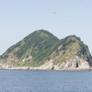소화사도