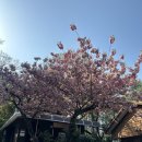 죽도봉화장실 이미지