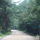 월정사관광안내소 이미지