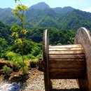 울릉도 알프스 이미지