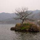 태공낚시 이미지