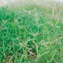 금릉동물의료센터 이미지