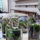 혜송학교 이미지