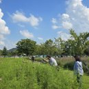 낙동강체육공원 축구장 화장실 이미지
