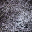 순성농협 하나로마트 이미지