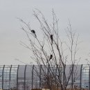 율하2지구_모산공원산책로 이미지