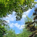 소똥령이야기 이미지