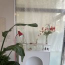 영동계산우체국 이미지