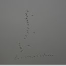 대물축산 이미지