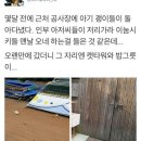 알짱 - 서구 도안북로118번길 86 | 알짱