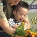 서준농장 이미지